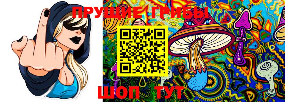 Галлюциногенные грибы GOLDEN TEACHER Ступино