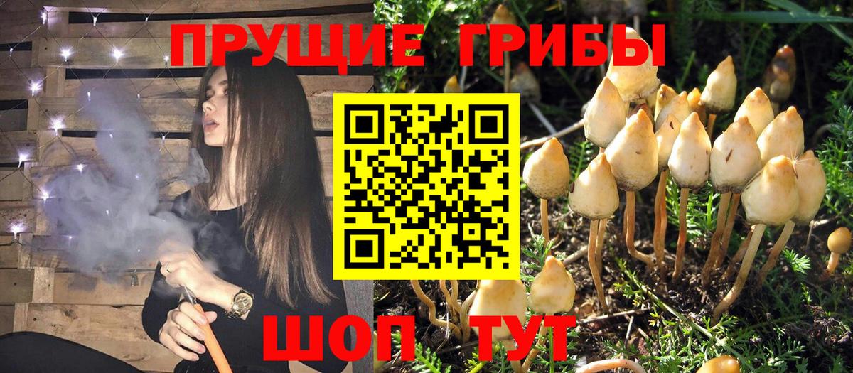 Галлюциногенные грибы мицелий  Вход с VPN  дарнет шоп  Ступино 