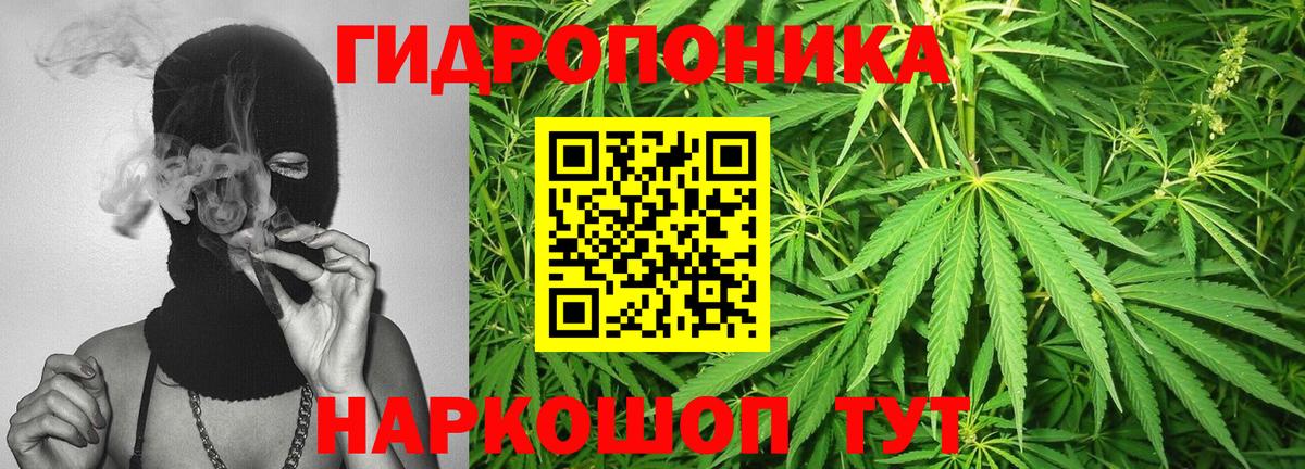 Шишки марихуана Bruce Banner Ступино